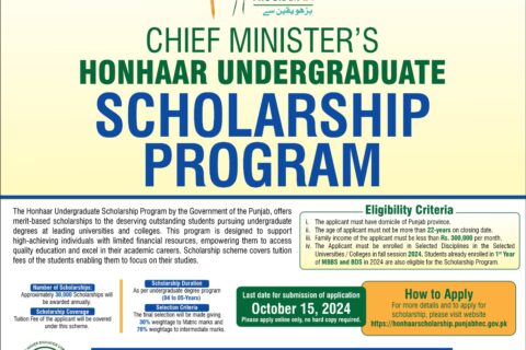 cheif minister scholarship